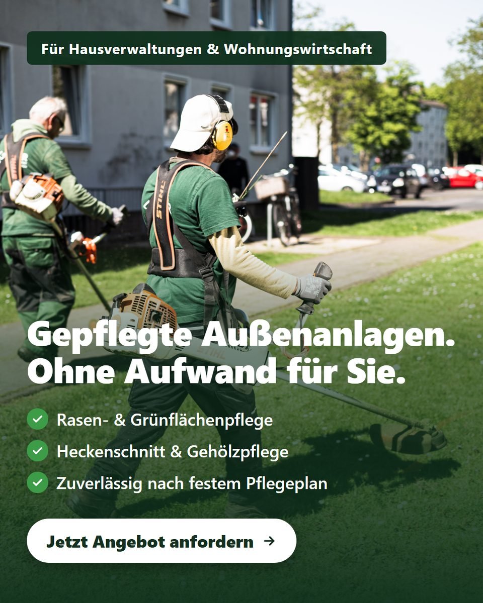 Dasselbe Foto als fertige Anzeige mit Überschrift und Knopf