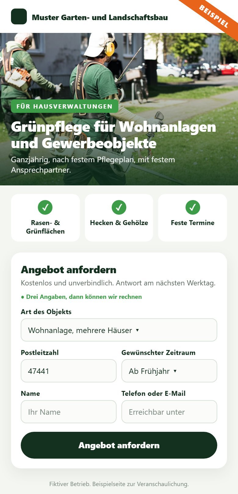 Beispielseite auf dem Handy: Überschrift, drei Vorteile, Formular mit drei Pflichtfragen
